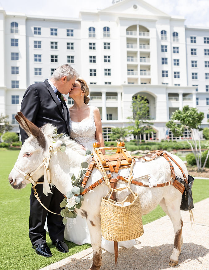 Juliana&BrianCouplePhotos-33.jpg