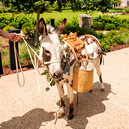 Juliana&BrianReception-8_edited_edited.j