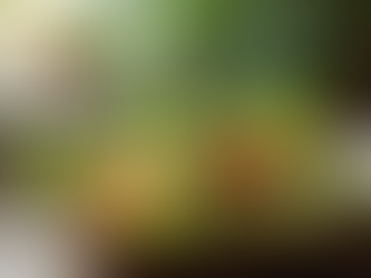 Прості Рецепти для Схуднення: Швидкий Розпочаток