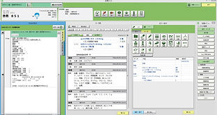 電子カルテ画面2_docter.jpg