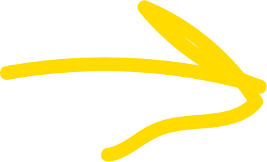 Asset 57_4x.png