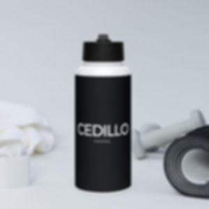 CEDILLO Stainless steel water bottle with a straw lid
