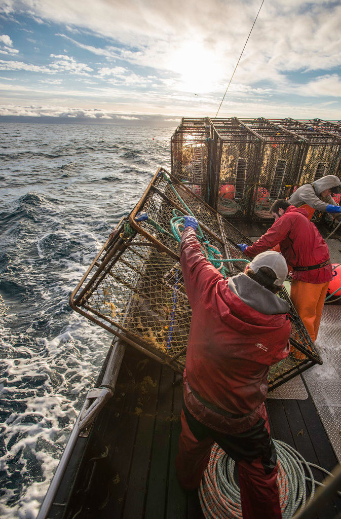 Monday, December 1, 2025