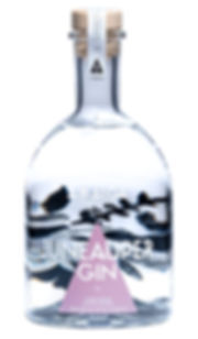 Gin + Tonics | Experience Package