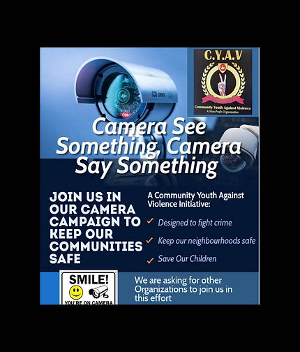 camera see2.jpg