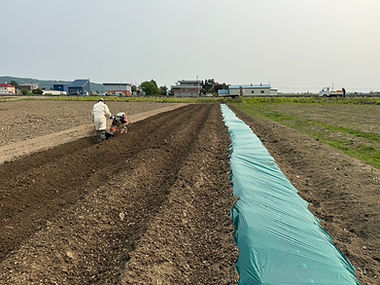 S__349659213_0.jpg