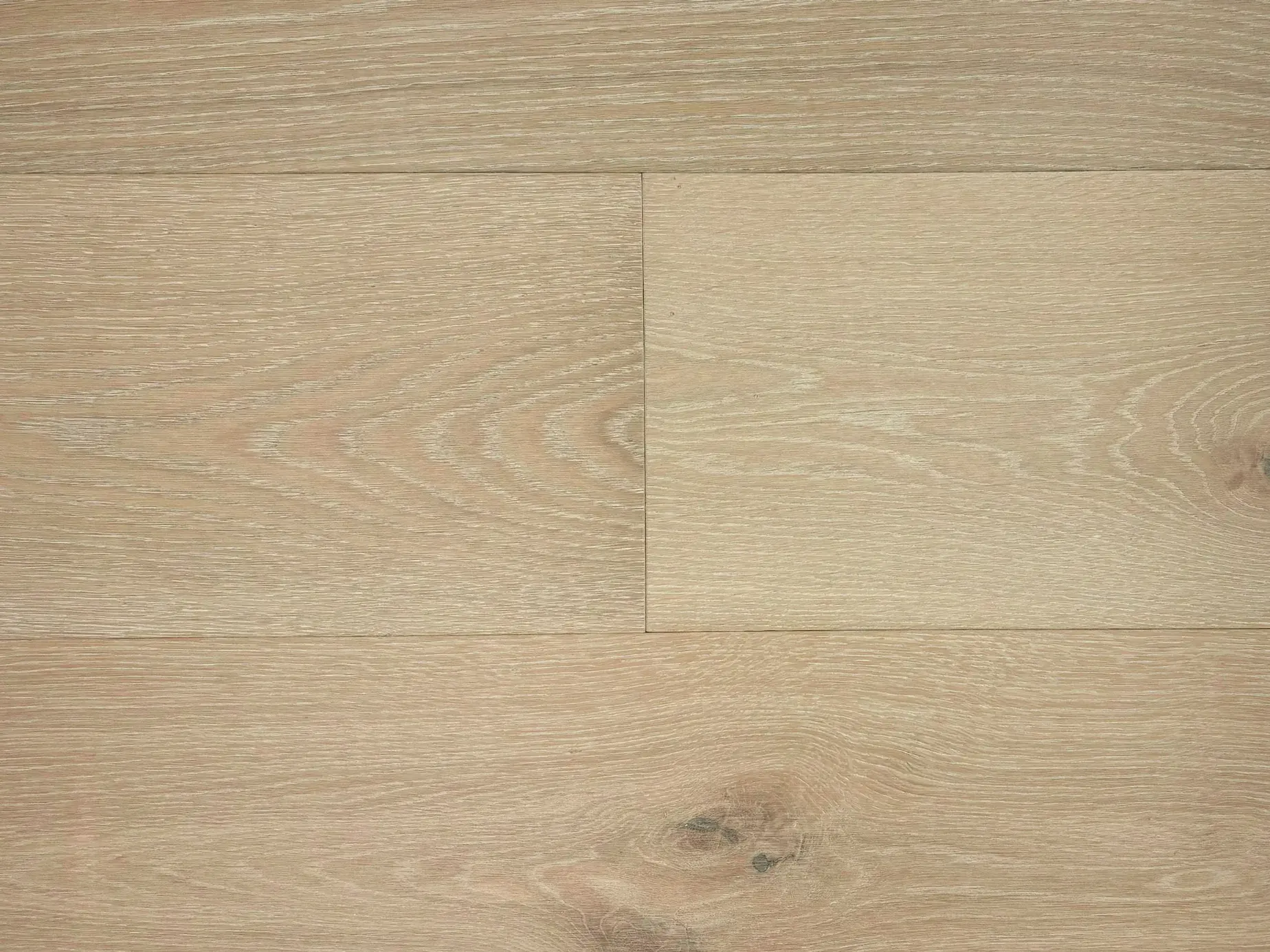 AURA Canvas Collection