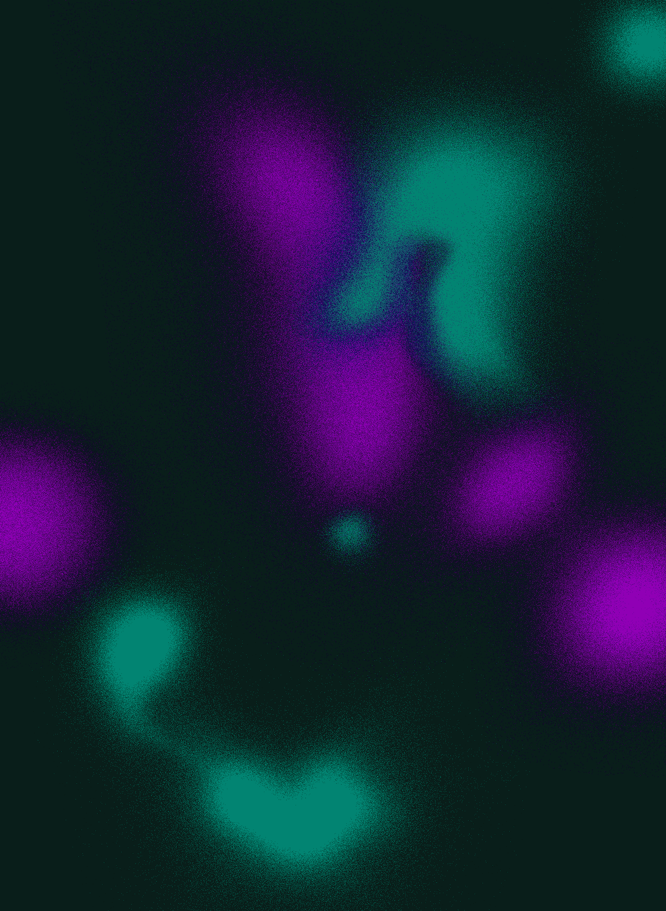 BG-novo-02.gif