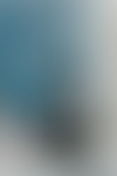 8 Things to Know for Your Cat's Senior Years