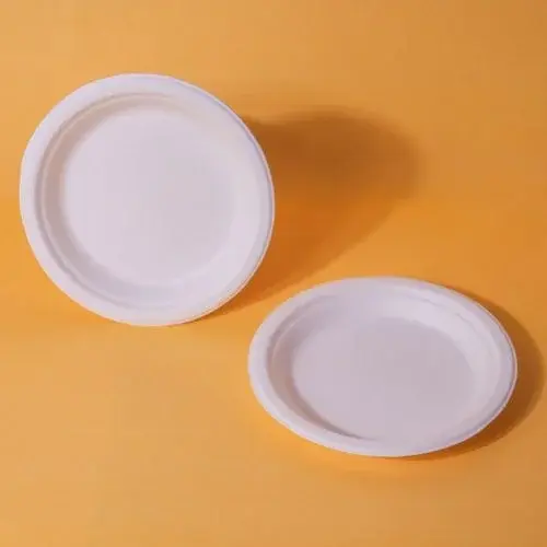 Bagasse Round Plain Plates Udanto