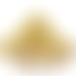 Wholesale Moringa Seed Cake Powder Manufacturer and Exporters from India