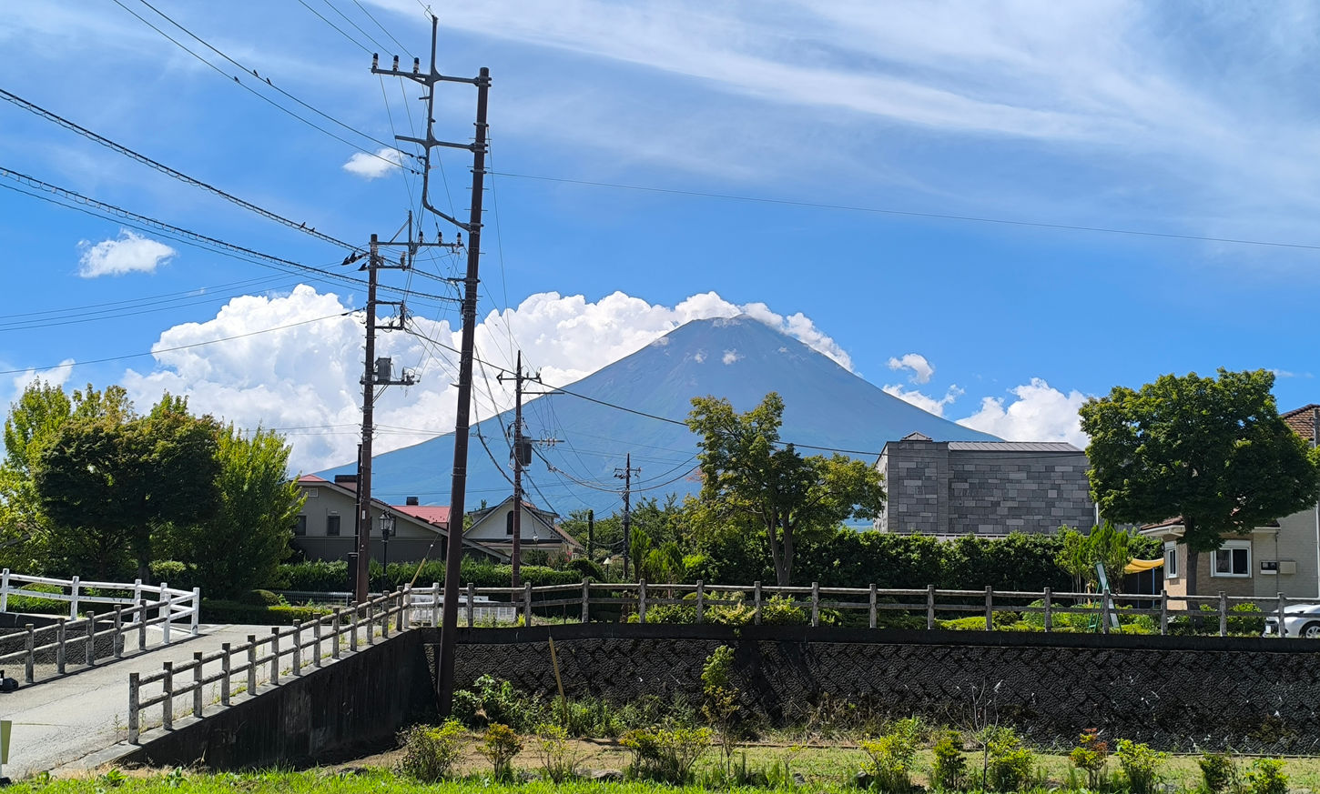 B棟夏のお庭