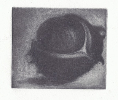 Scan 8