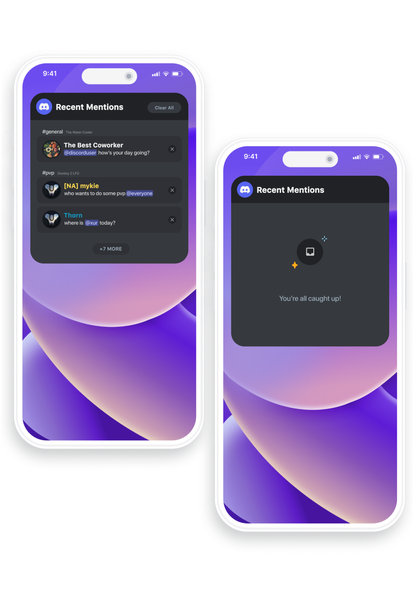 Discord Widget Rachel Busch discord-widget-rachel-busch