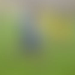 Dorost zakončil podzimní část přesvědčivou výhrou