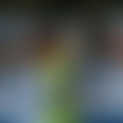 Pod novým koučem jsme na body nedosáhly