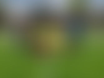 Mladší přípravka opět vyhrála vše, co mohla