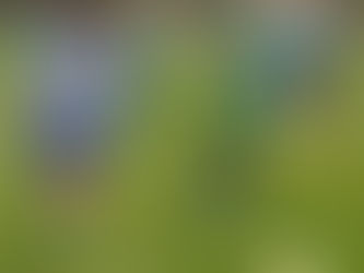 Béčko se rozloučilo s podzimem vítězně