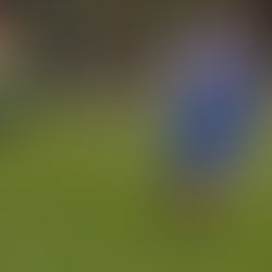 Na Chlumec jsme nestačili a dostali na domácí půdě čtyři góly