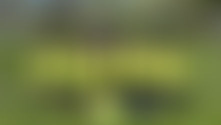 Mladší přípravka se představila na turnaji v Horkách