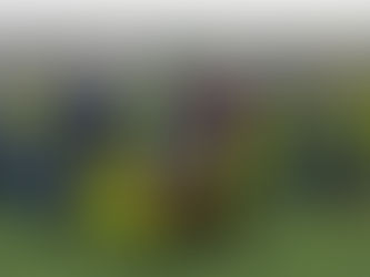 Mladší přípravka se utkala s FKMB