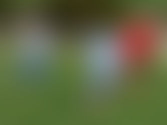 Béčko nezvládlo závěr utkání a připsalo si další prohru