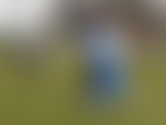 Dorost v přípravě suverénní