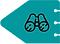 fish-1.png