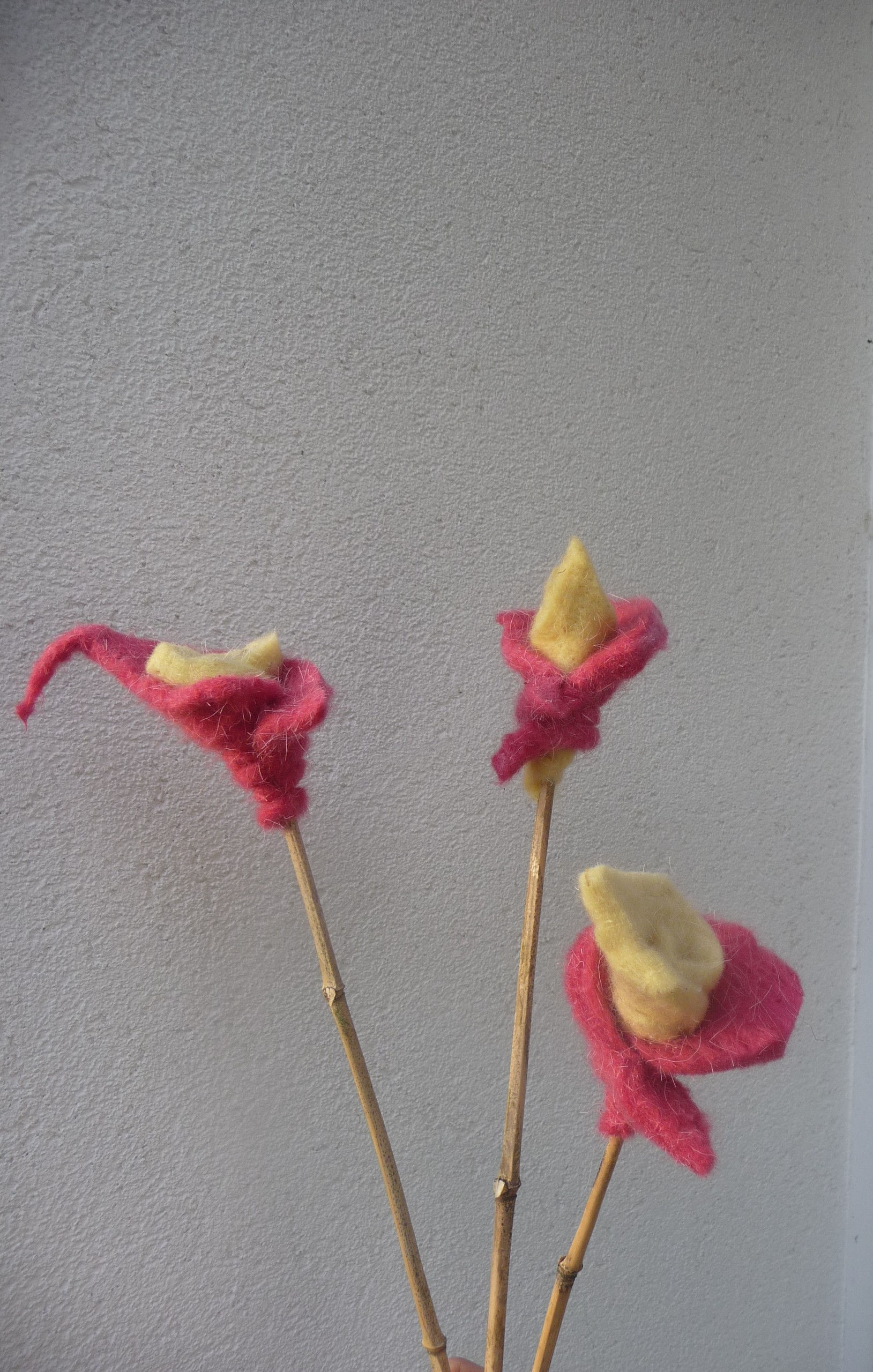 GRANDES FLEURS Cachemire