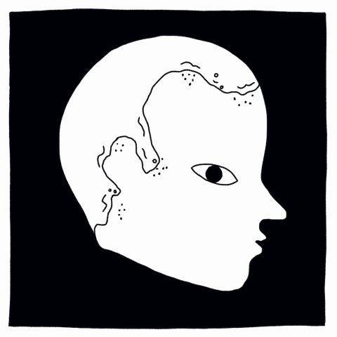 Fig-5_joanxvazquez.gif