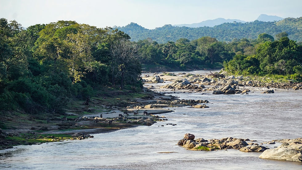 Thumbnail: The beauty of Malawi Tour (7 days)