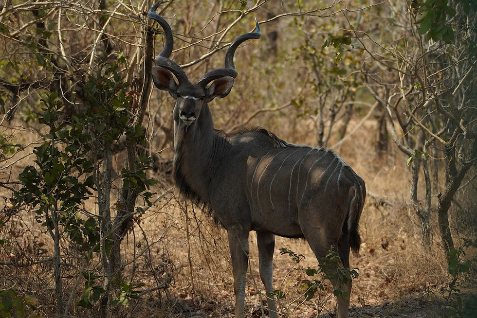 Thumbnail: The beauty of Malawi Tour (7 days)
