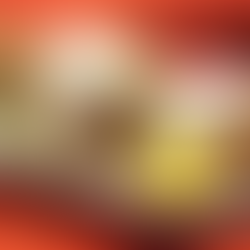 Bò bía Phúc Kiến chay, món chay chợ lớn, những món chay ngon, quán chay quận 5