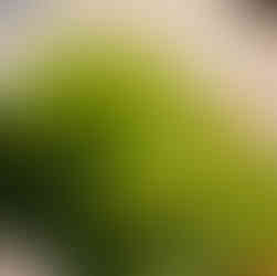 lẩu chay, Nhà hàng chay, nhà hàng chay An Duyên, nhà hàng chay tphcm, nhà hàng quận 5, nhà hàng chay người Hoa, ẩm thực chay Trung Hoa, món chay ngon người Hoa, quán chay người Hoa, quán chay quận 5, cơm chay, món chay, nhà hàng chay q5, nhà hàng chay ngon tphcm, danh sách nhà hàng chay ngon, món chay giao tận nơilẩu chay, Nhà hàng chay, nhà hàng chay An Duyên, nhà hàng chay tphcm, nhà hàng quận 5, nhà hàng chay người Hoa, ẩm thực chay Trung Hoa, món chay ngon người Hoa, quán chay người Hoa, quán chay quận 5, cơm chay, món chay, nhà hàng chay q5, nhà hàng chay ngon tphcm, danh sách nhà hàng chay ngon, món chay giao tận nơi