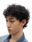 Curly Mulltet - Huong.png