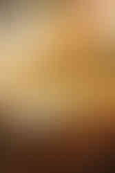 lẩu chay, Nhà hàng chay, nhà hàng chay An Duyên, nhà hàng chay tphcm, nhà hàng quận 5, nhà hàng chay