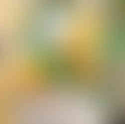 lẩu chay, Nhà hàng chay, nhà hàng chay An Duyên, nhà hàng chay tphcm, nhà hàng quận 5, nhà hàng chay người Hoa, ẩm thực chay Trung Hoa, món chay ngon người Hoa, quán chay người Hoa, quán chay quận 5, cơm chay, món chay, nhà hàng chay q5, nhà hàng chay ngon tphcm, danh sách nhà hàng chay ngon, món chay giao tận nơi