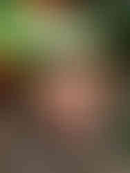 mâm chay cúng khai trương, mâm chay người hoa, món chay khai trương, khai trương cúng gì