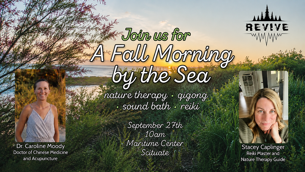A Fall Morning by the Sea