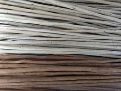 פרגולה בצבע