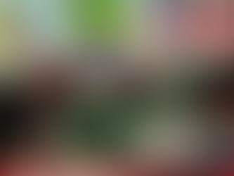 birmingham casino night