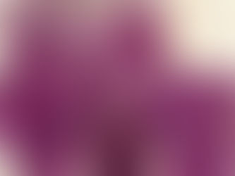 Conoce Dendrobium clase Sa-nook, orquideas llenas de color y texturas, hermosa planta para interior, floreria Kukka la entrega en tu domicilio.