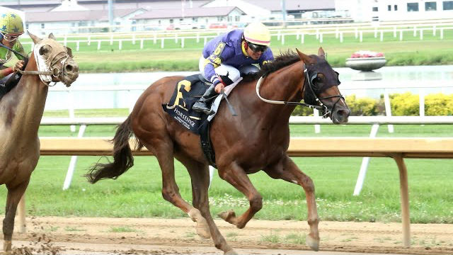 A Horse Named Skibidi Rizz Won A Race In Ohio