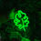 Thumbnail: Green Leaf LED Neon Light. Perfect for bedrooms, living rooms