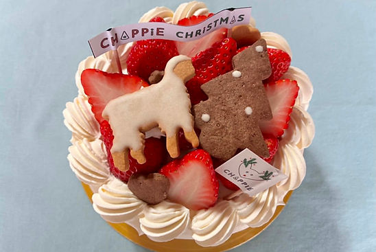 Celebration Cakes