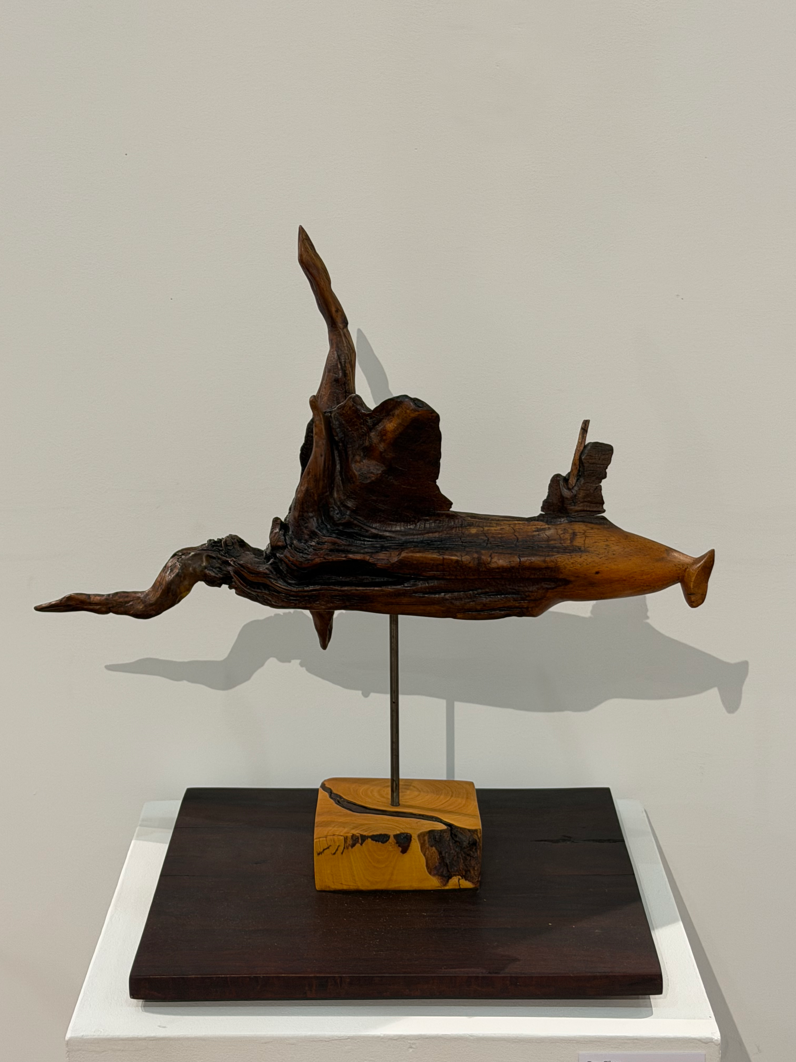 Swordfish - Tony Gilson