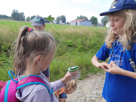 Přírodní vzdělávací tábor