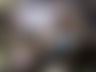 Včelka sociální služby o.p.s