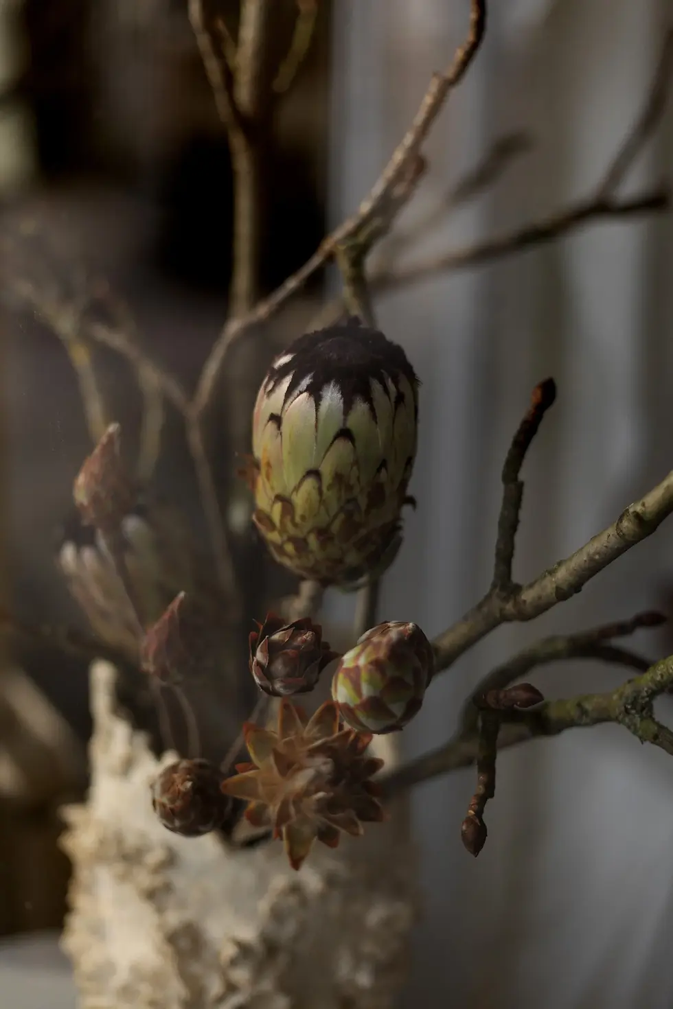 BASSE DEF expo murmure - Marion Saupin-41.webp