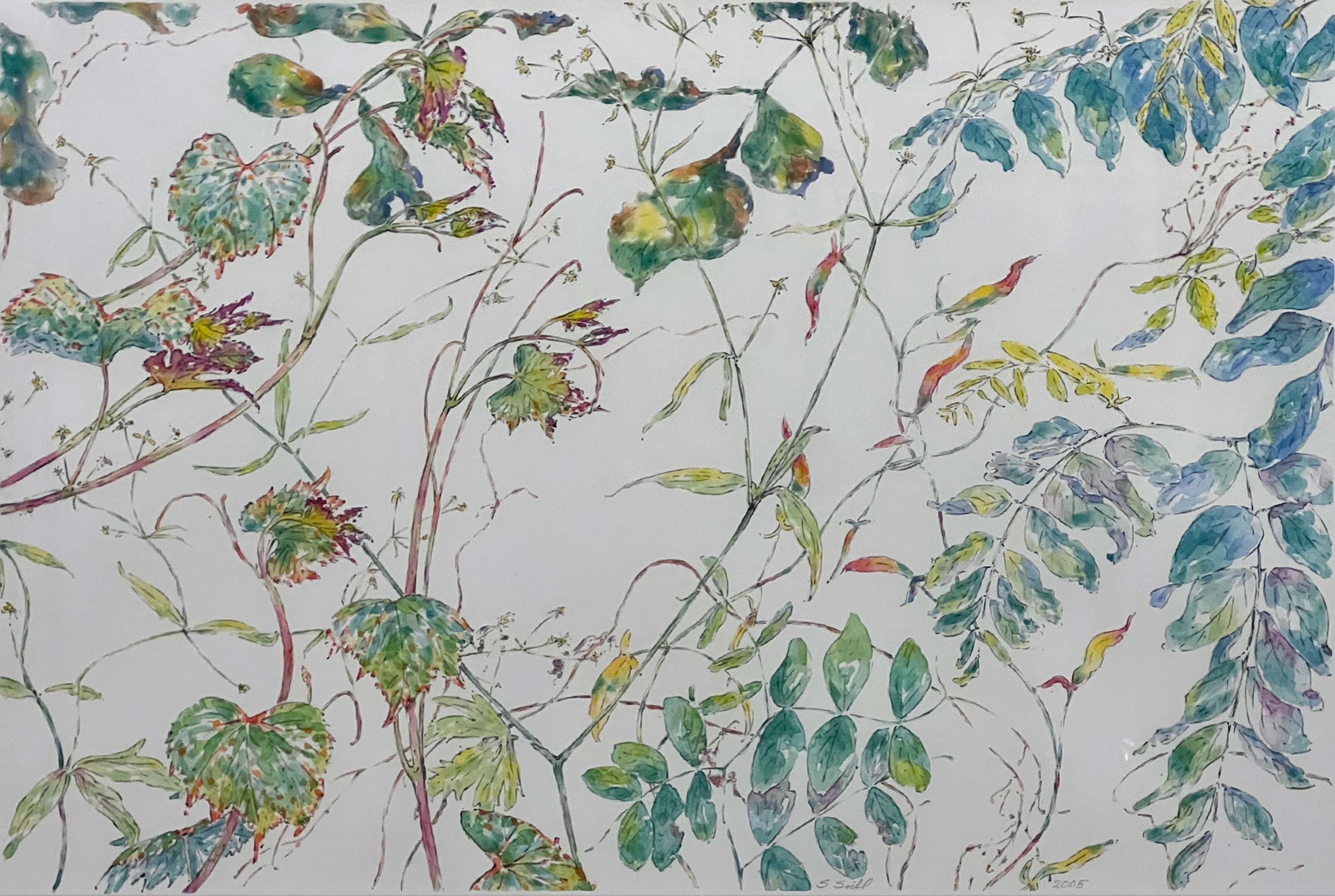 Soihl: GrapeVines and Locust Leaves